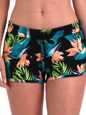Birds Of Paradise
